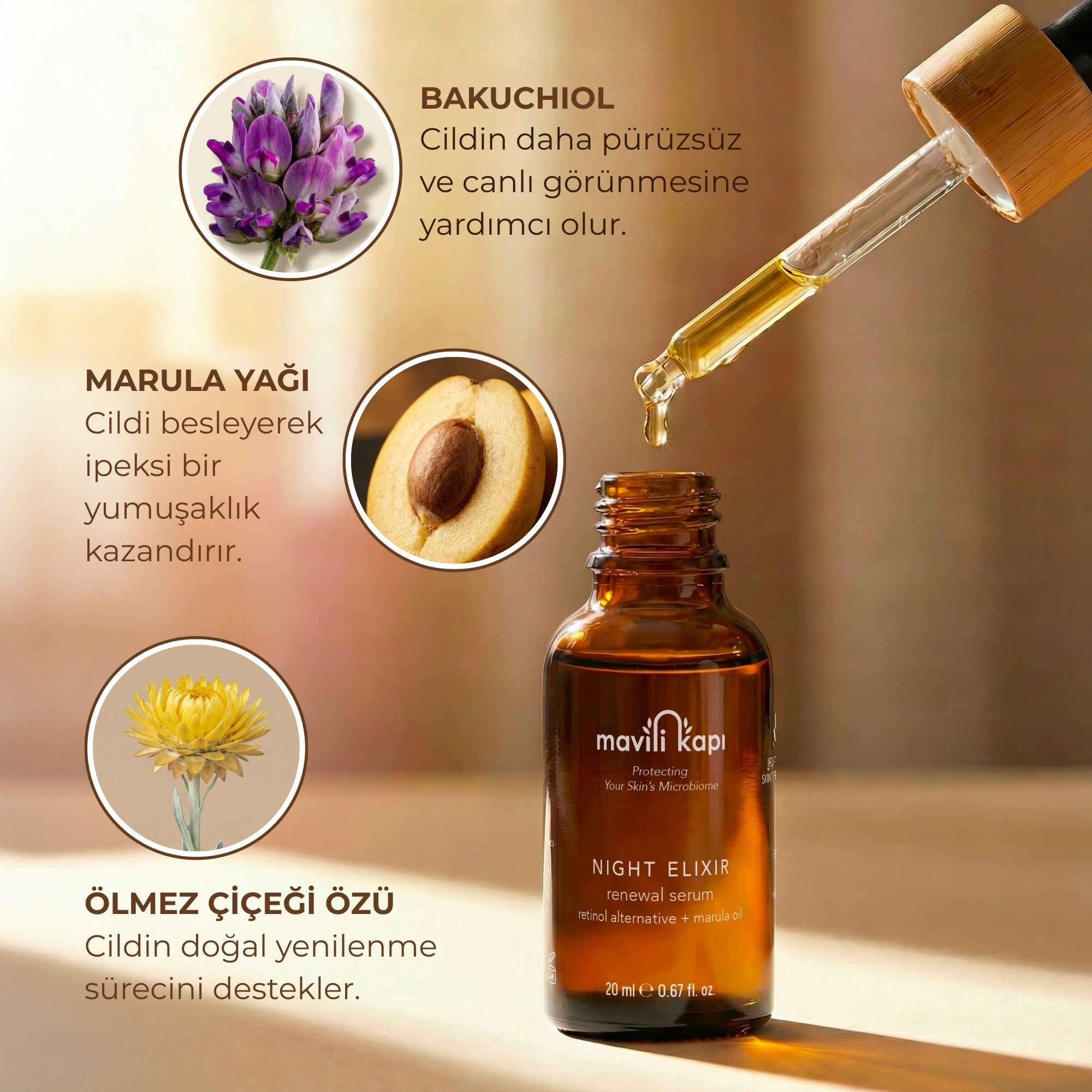 ÖN SİPARİŞ: Night Elixir Yenileyici Gece Serumu | Doğal Retinol Alternatifi Bakuchiol