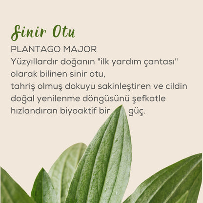Mavili Kapı Family Hero doğal balm kullanım — yanık tahriş onarım